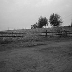 Cesta