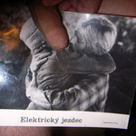 redford je prase