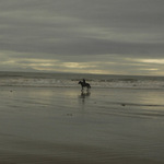 vyjížďka při odlivu