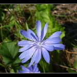 hurá na přistání