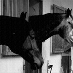 Śtáje - Odolená Voda