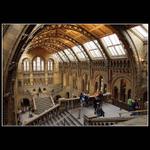 Londýn - Historické muzeum