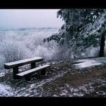 u Máchova pomníku 2