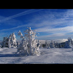 jako zasněžená  anténa :-)