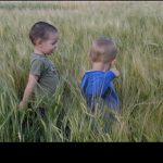 Co najdeš v žitě???