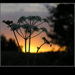 Jak padá na Šumavě do postele...