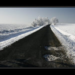 .:zimní krajinou III:.