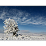 NA KOPEČKU STÁLA NA MŇA ....