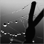 Šperky přírody -2