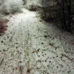 I love Svoboda (baštím ji)