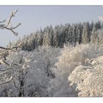 Ledová krajina II.