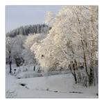 Ledová krajina III.