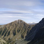 Roháče