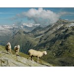 "Horolezci, horolezkyně, horolezčata"