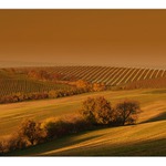 Za Bzencem trochu jinak