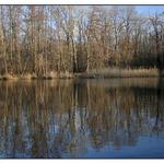 zimní staré Labe u Neratovic