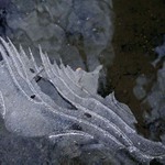 TlusŤjochovo pojednání o plesové škabošce