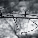 Den definovaný jako výmyk