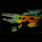 Full spectrum colors...