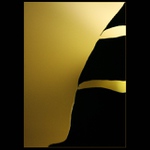 .. portrét Andy Warhola ..