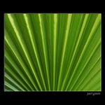 ...just green...
