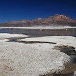 Salar de Surire II