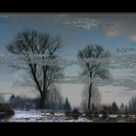 *ledové království*