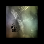 o pavúkovi,svetle a tráve...