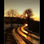 Cestou domů  II (Za sluncem)