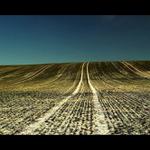 čekání na jaro (2)