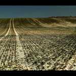 čekání na jaro (3)