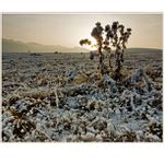 Posledne lúče slnka II