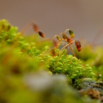 Společné čekání