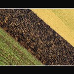 Družstevní  vlajka.../vyoraná/