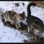 No fuj to je ale smrad.....