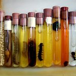 Jednou v laboratoři Biologie