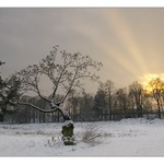 Vzpomínka na zimu..