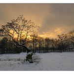 Vzpomínka na zimu II...