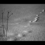 Pojď, musíme jít za ním!