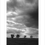 ***Blues na čtyři doby***