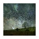 ***Tažní ptáci***