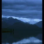 Lake Kaniere (Vzpomínky na Zéland)