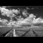 Vstříc nejasné budoucnost