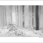 Zamrznuté Karpaty II.