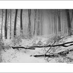 Cesta do neznáma V.