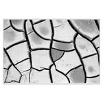 - Vrásky Paní Přírody -