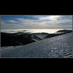 /// Ledový Masakr ///