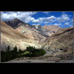 /// Drsná krajina ///