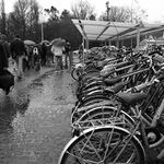 kdyz v Bruggach prsi 1