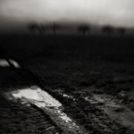 ... něco jako krajina ...